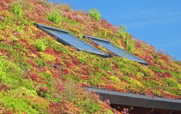Bancycapel living roof systems